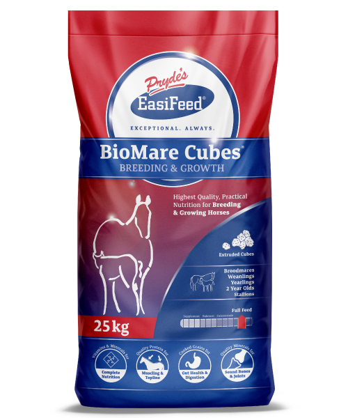 BioMare-Cubes | JAD Equine | Feed Stockists