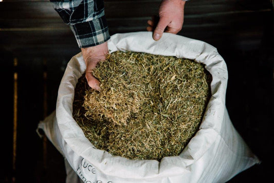 Future Feeds - Meadow Hay Chaff (without oil) - 20kg